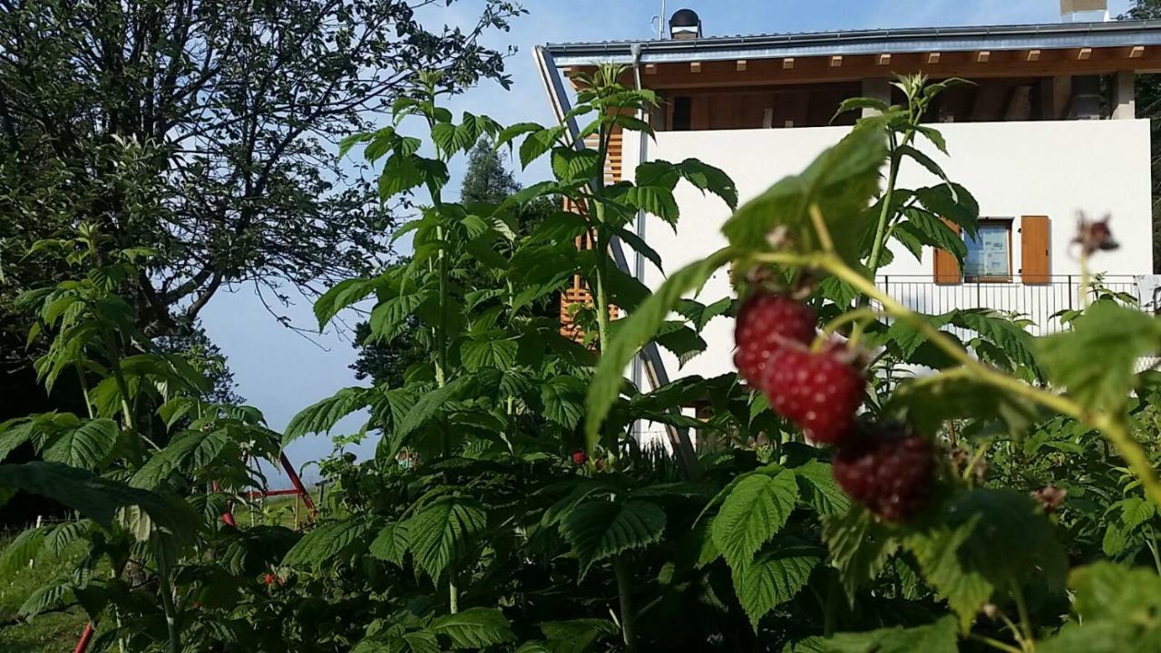 Garni Fobbie Hotel Brentonico Buitenkant foto